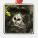 Search for gorilla ornaments Africa