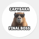 Search for capybara stickers Humor