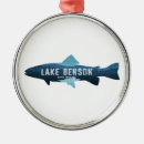 Search for north carolina ornaments Raleigh