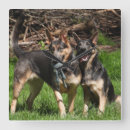 Search for german shepherd decor Pets