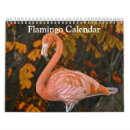 Search for flamingo calendars Birds
