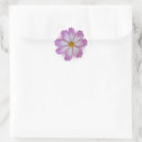 Search for transparent background stickers Flower