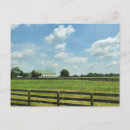 Search for kentucky postcards Lexington