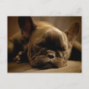 Search for french postcards Animals