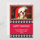 Search for cat pun holiday cards Happy pawlidays