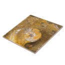 Search for fossil tiles Rock