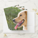 Search for puppy folders Smile