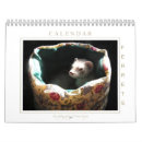 Search for ferret gifts Animal