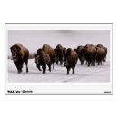 Search for western wall decals Nature