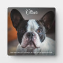 Search for quotes pet memorials For her
