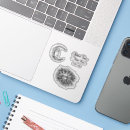 Search for mystic stickers Universe