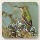 Search for alaska coasters Green