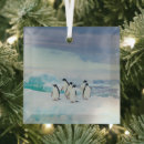 Search for antarctica ornaments Ice
