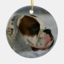 Search for boxer dog ornaments Canine photographer