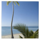 Search for palm tree tiles Tropical climate