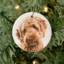 Search for goldendoodle ornaments Animal