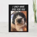 Search for funny dog anniversary cards Wife