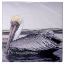 Search for pelican tiles Water