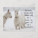 Search for funny animal postcards Humor