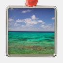 Search for turks and caicos ornaments Shallow
