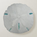 Search for sand dollar sea shell tropical