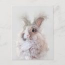 Search for wildlife postcards rabbit