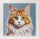 Search for maine coon cat puzzles Kitten