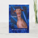Search for doberman birthday cards Dogs