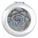 Search for cactus compact mirrors plant