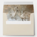 Search for a7 size envelopes Party