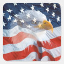 Search for bald eagle stickers Usa