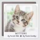 Search for in loving memory memorial bumper stickers Dog