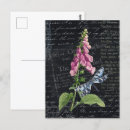 Search for vintage botanical postcards Ephemera