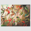 Search for hummingbird tissue paper Vintage
