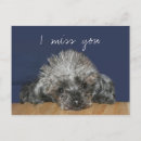 Search for sad miss you puppy postcards Canine