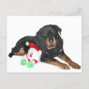Search for rottweiler christmas cards Animal