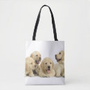 Search for golden retriever bags Pet