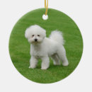Search for poodle ornaments Green