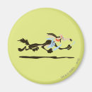 Search for wile e coyote magnets Looney tunes coyote
