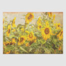 Search for sunflower tissue paper Rustic