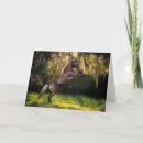 Search for rocky mountain horse Fantasy