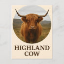 Search for scottish highland cow postcards Rustic