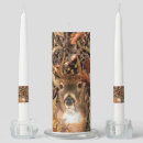 Search for deer candles hunting