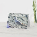 Search for happy sayings for holiday cards Beach