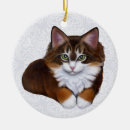 Search for tortoiseshell cat ornaments Kitten