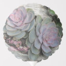 Search for succulents balloons Plant