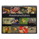 Search for clown calendars Fish
