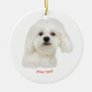 Search for bichon frise ornaments White