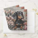 Search for dog folders Dachshund