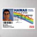 Search for fake id Superbad